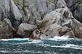 Alaska Wildlife-73